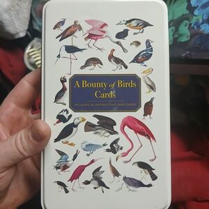 Eccolo White Tin Box with Multicolor Bird Illustrations